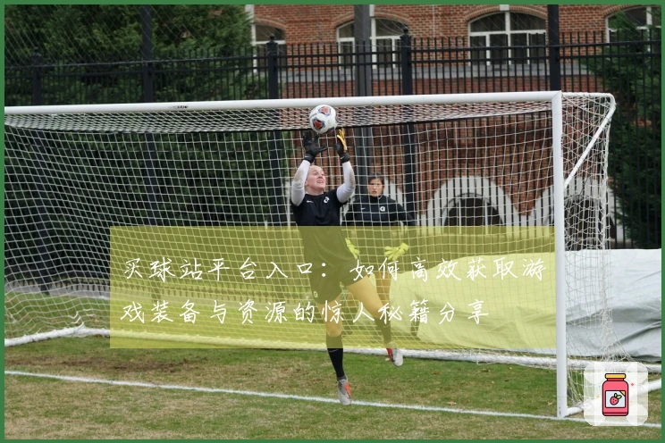 买球站平台入口：如何高效获取游戏装备与资源的惊人秘籍分享